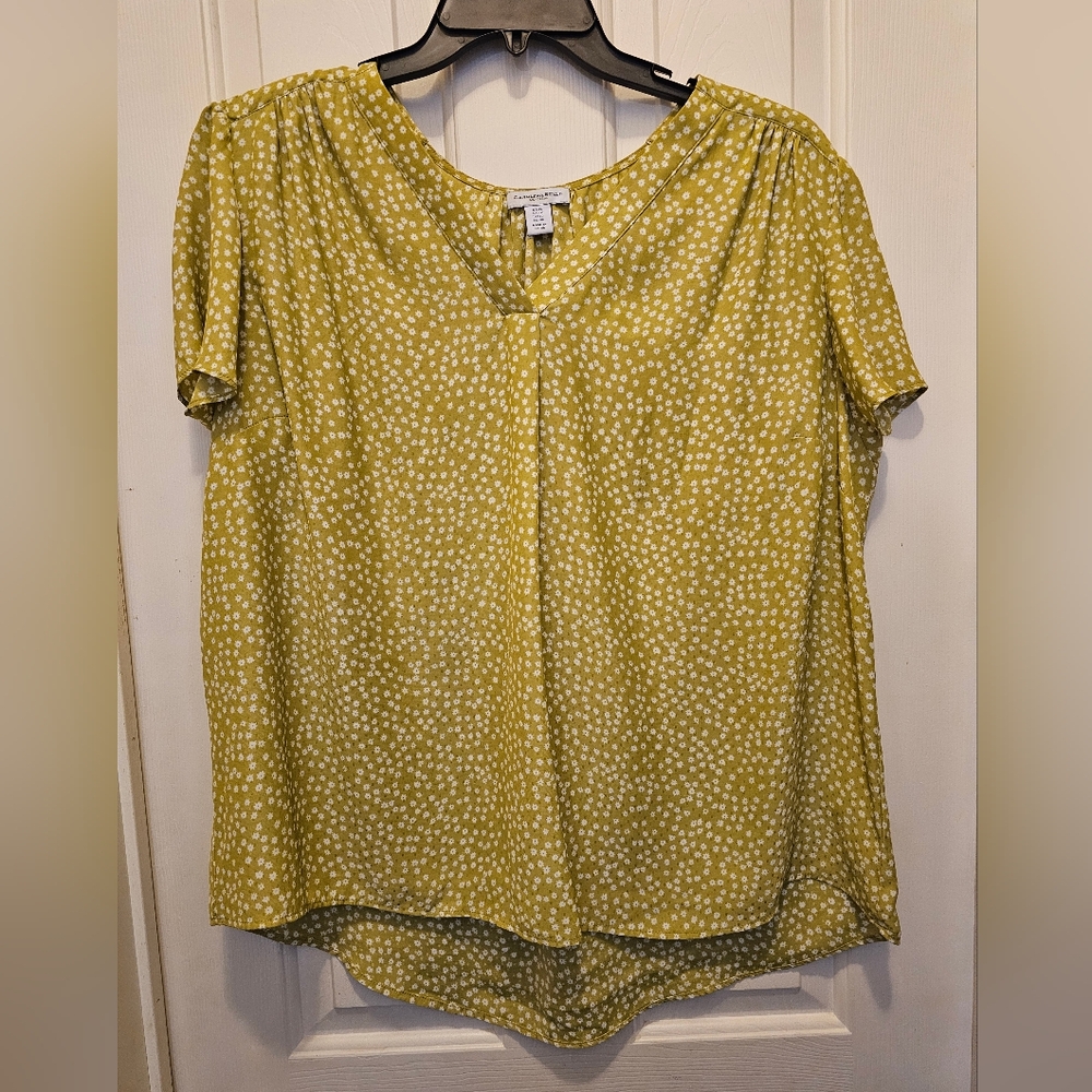 Carolina Belle Green and White Floral Top - 1X